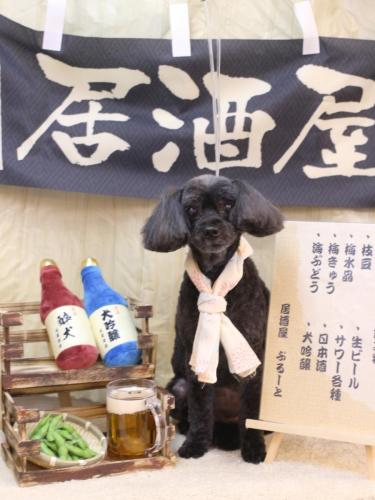 20240618ピピちゃん